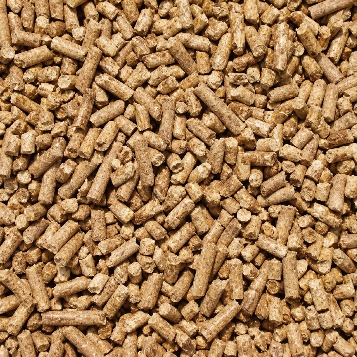 Cattle feed pellets exported by We Globbal